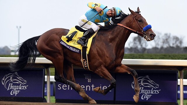 American Pharoah Rightfully Goes Out a Champion In Breeders' Cup Win