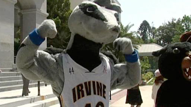 UC Irvine Anteaters - Peter the Anteater