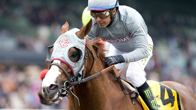 California Chrome Is Horse To Beat In Dubai World Cup