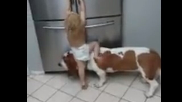 Man\'s Best Friend Gives Toddler a Boost So He Can Raid Refrigerator