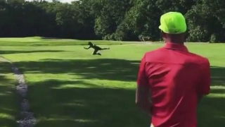 Golfers Celebrate Return of Football with Diving Catch in Middle of Fairway