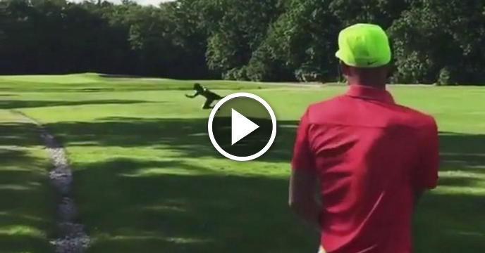 Golfers Celebrate Return of Football with Diving Catch in Middle of Fairway