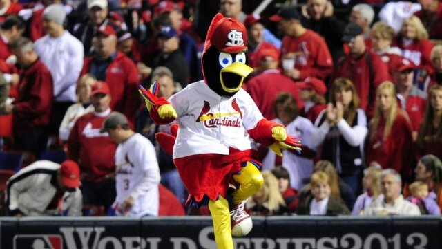 Cardinals Mascot