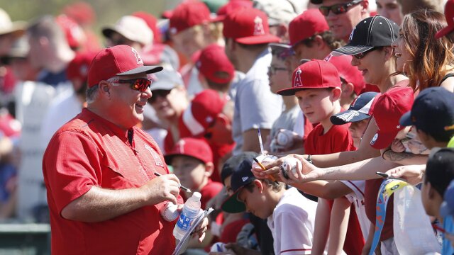 Predicting The Los Angeles Angels\' 2016 Opening Day Lineup
