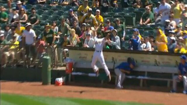 Watch Oakland Athletics\' Ball Boy Show Gold Glove Form With Leaping Catch
