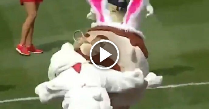 Easter Bunny Comes Flying Out of Stands to Take Out Teddy Roosevelt in Nationals' Presidents Race