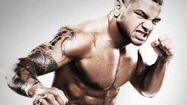 Thiago Alves UFC