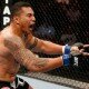 Soa Palelei reacts after knocking out Pat Barry at UFC Fight Night 33