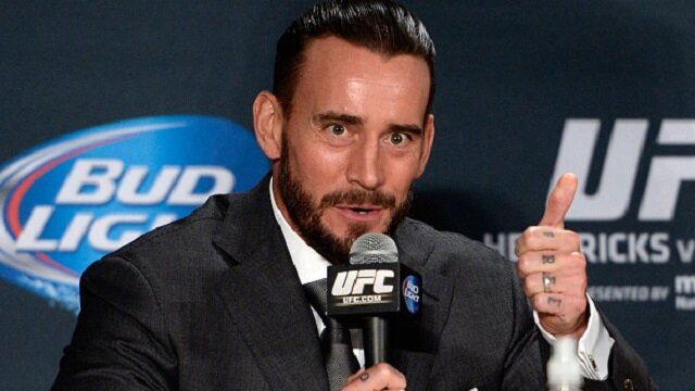 CM Punk And 9 Professional Wrestlers Who Could Be UFC Fighters