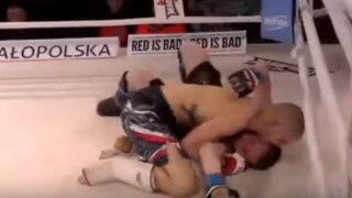 MMA Fighter Gruesomely Gets Arm Broken During Match