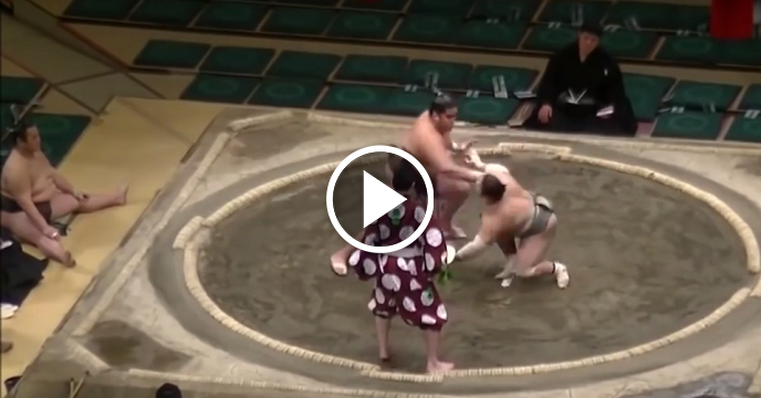 Sumo Wrestler Gets Brutally Knocked Out UFC Style Just Two Seconds Into Match