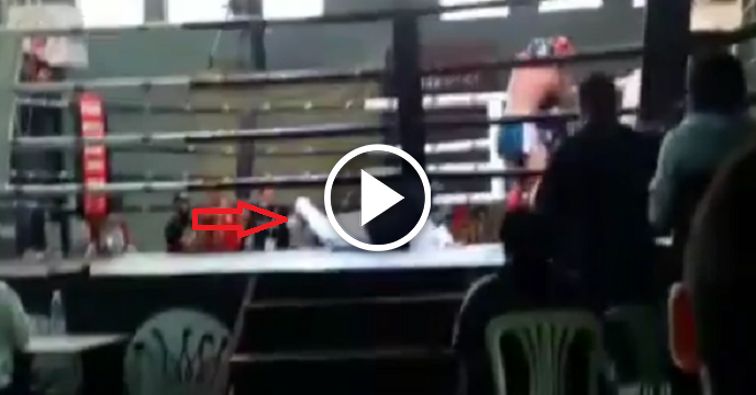 Muay Thai Referee Gets Unintentionally Knocked Out By Errant Punch