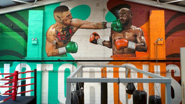 Conor McGregor Paints Mural of Punching Floyd Mayweather on Gym Wall