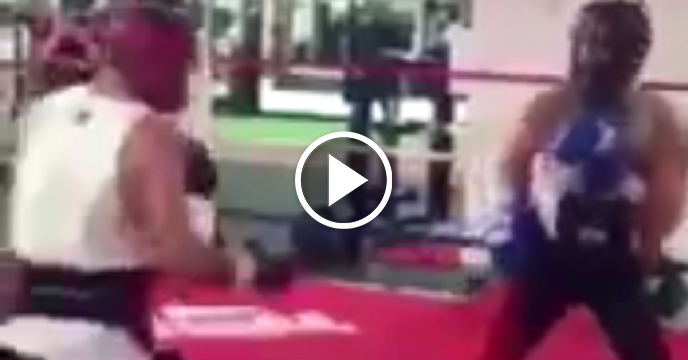 Video Of Conor McGregor Getting Schooled By Pro Boxer Surfaces