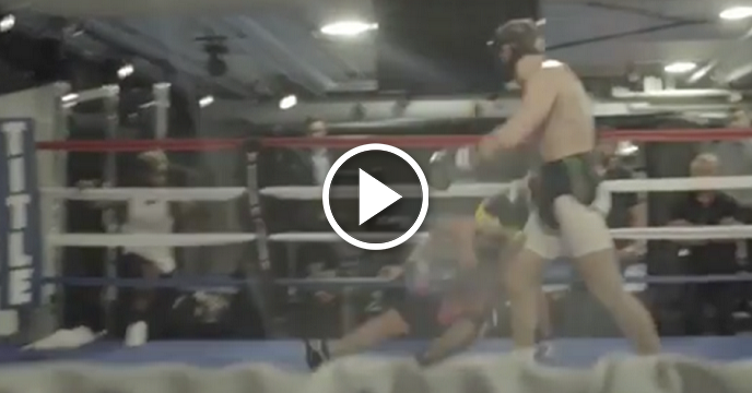 UFC's Dana White Releases Conor McGregor Vs. Paulie Malignaggi Sparring Videos