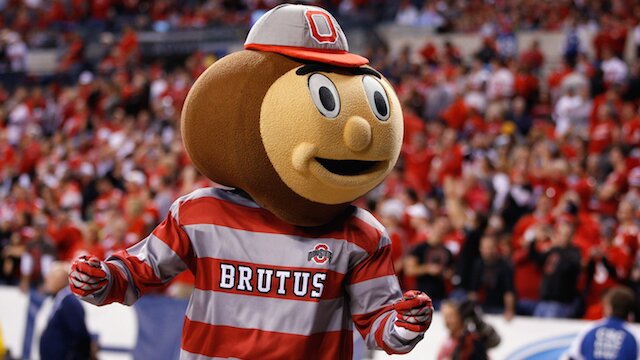 Ohio State Buckeyes Brutus