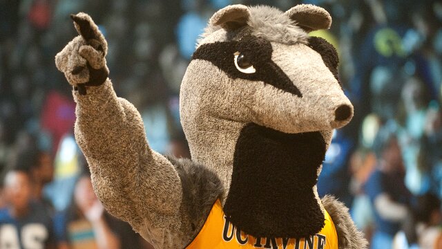Peter the Anteater UC Irvine