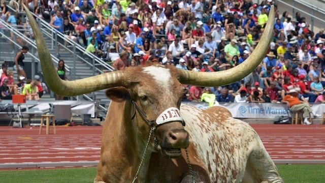 Texas Longhorns Struggles
