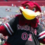 5 Reasons South Carolina Fans Should Be Excited for 2014