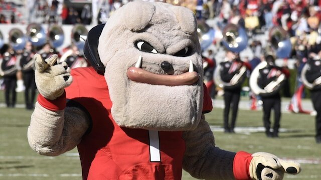 Georgia Bulldogs Football Mascot