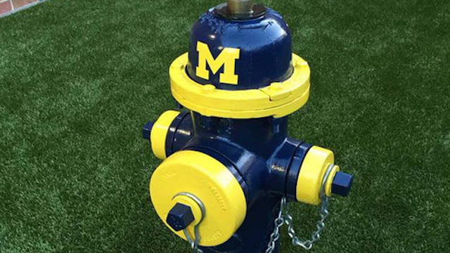 Ohio State Installs Michigan-Themed Hydrants for Dogs to Pee On