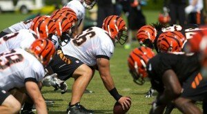 Offseason Improvements for Cincinnati Bengals
