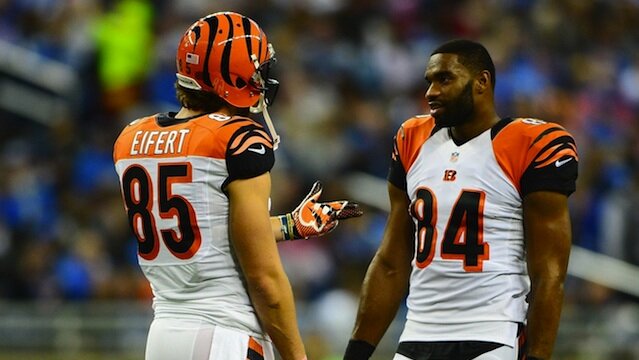 Bengals Tight Ends