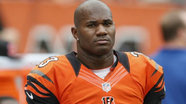 Terence Newman Bengals