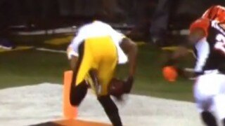 Watch Pittsburgh Steelers' Martavis Bryant Come Down With Catch Of The Year