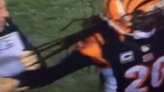 Watch Pittsburgh Steelers OL Coach Mike Munchak Grab Onto Cincinnati Bengals' Reggie Nelson By His Dreads