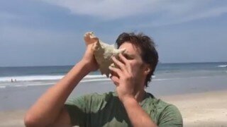 Watch Tom Brady Summon Julian Edelman, Danny Amendola To The Beach Through Conch Shell