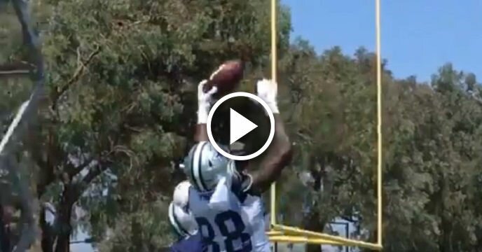 Dez Bryant Only Needs One Hand to Make Ridiculous Grab in End Zone