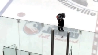  Hockey Player's Brother Nails Referee With Beer Can 