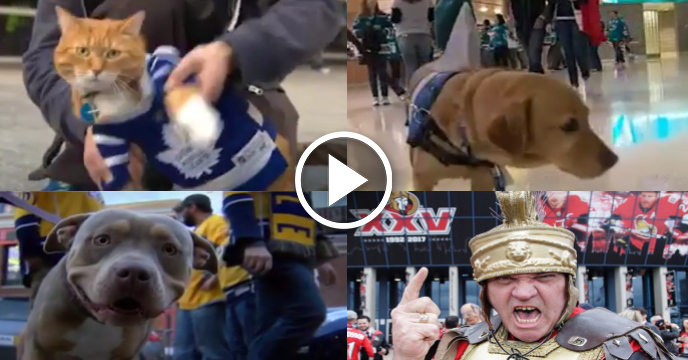 Fans Use Pets to Support NHL Teams as Stanley Cup Playoffs Intensify