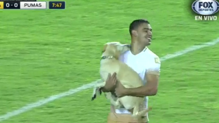 Dog Interrupts Soccer Game In Mexico City, Has A Ball