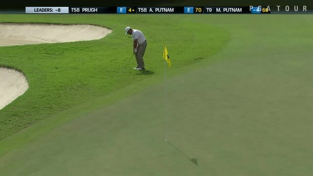 PGA TOUR | Chad Collins holes a tricky chip in for birdie at Sony Open