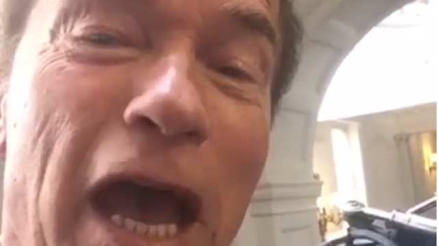 Arnold Schwarzenegger Sends J. J. Watt a Chilling Message from the Terminator on Instagram