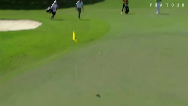 PGA TOUR | Scott Pinckney's superb eagle chip in is the Shot of the Day