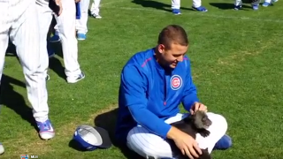 Watch Cubs' Anthony Rizzo Play With Live Cub At Spring Training 