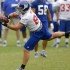 Will Brandon Myers be Tight End New York Giants Need