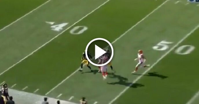 Antonio Brown Outjumps 3 Browns Defenders to Make Incredible Catch