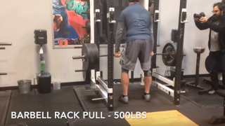 Watch The Undertaker Make You Feel Puny And Insignificant By Lifting 500 Pounds